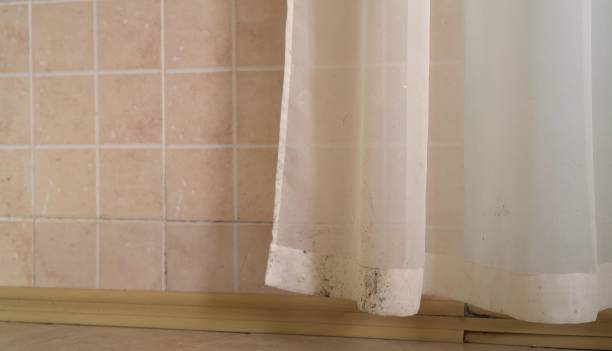 Best Mold Remediation for Healthcare Facilities  in Myrtle Grove, FL