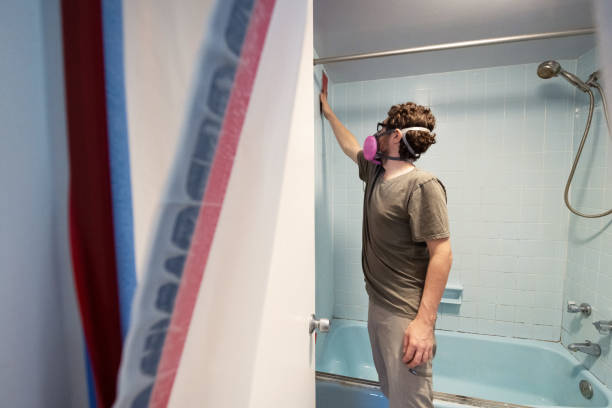 Reliable Myrtle Grove, FL Mold Removal Solutions