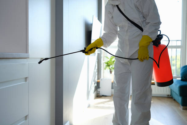 Best Residential Mold Inspection & Testing  in Myrtle Grove, FL