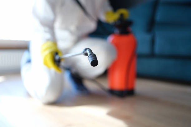 Best Environmental Consulting for Mold Prevention  in Myrtle Grove, FL