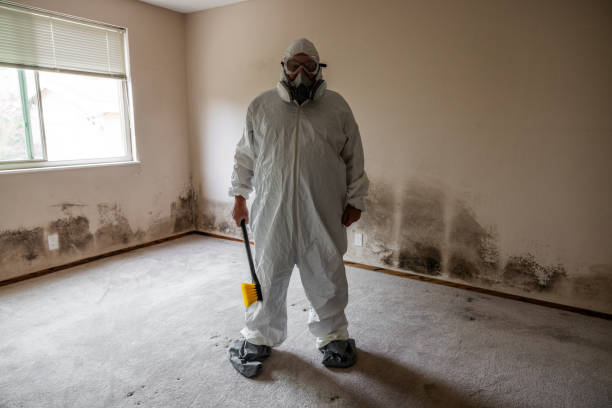 Best Air Quality Testing for Mold Spores  in Myrtle Grove, FL