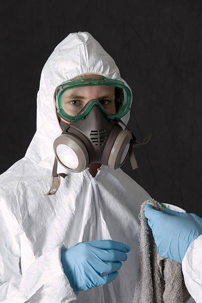 Best Basement Mold Removal  in Myrtle Grove, FL